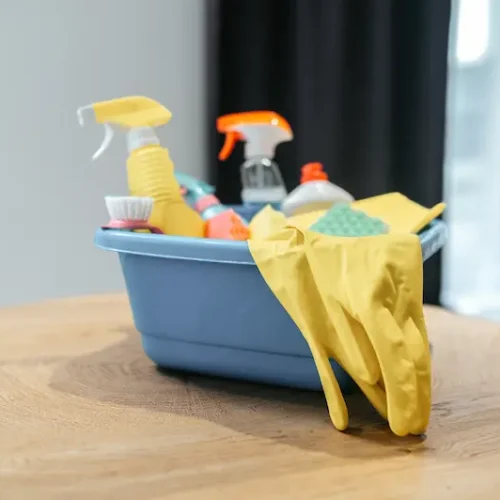 close-up-picture-of-cleaning-stuff-in-a-box-2024-10-18-05-15-55-utc
